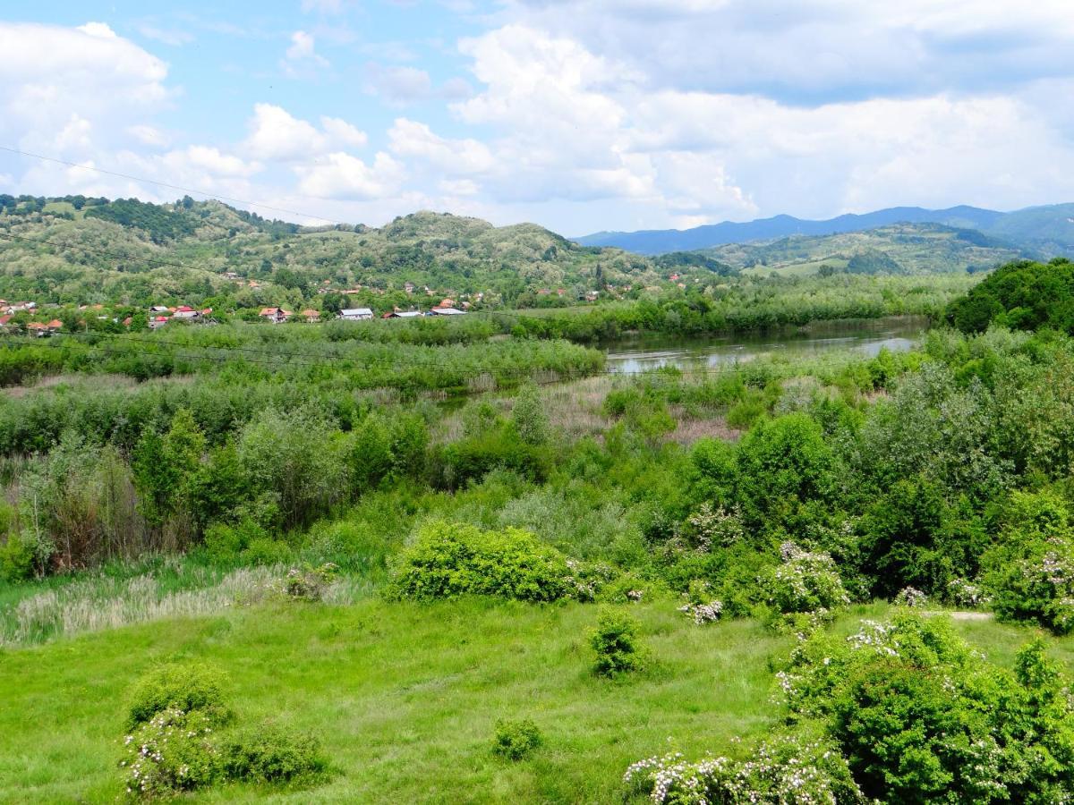 Albestii Paminteni Pensiunea Lacul Albesti מראה חיצוני תמונה