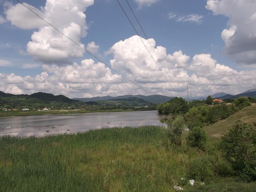 Albestii Paminteni Pensiunea Lacul Albesti מראה חיצוני תמונה